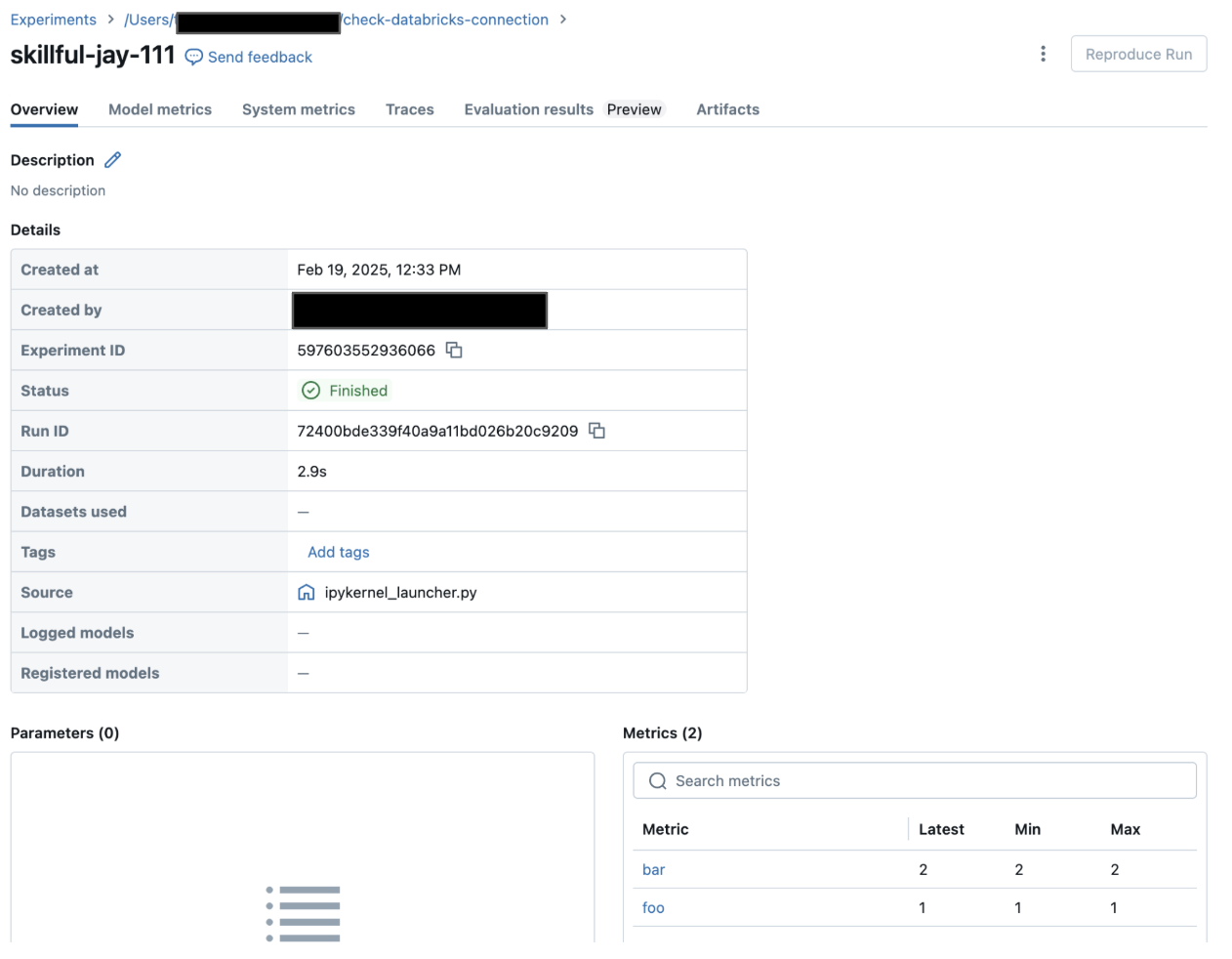 Run view of Databricks MLflow server
